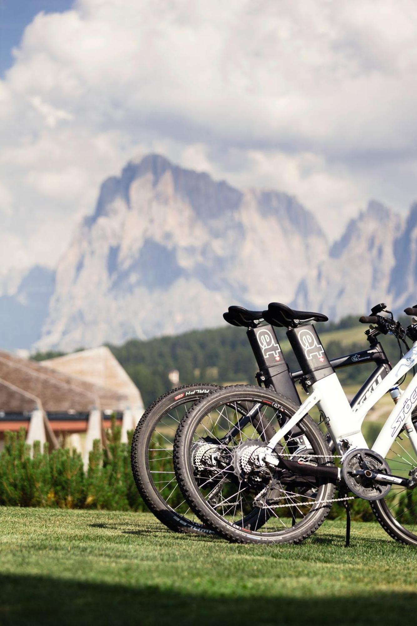 Como Alpina Dolomites Hotel Alpe Di Siusi Exterior photo