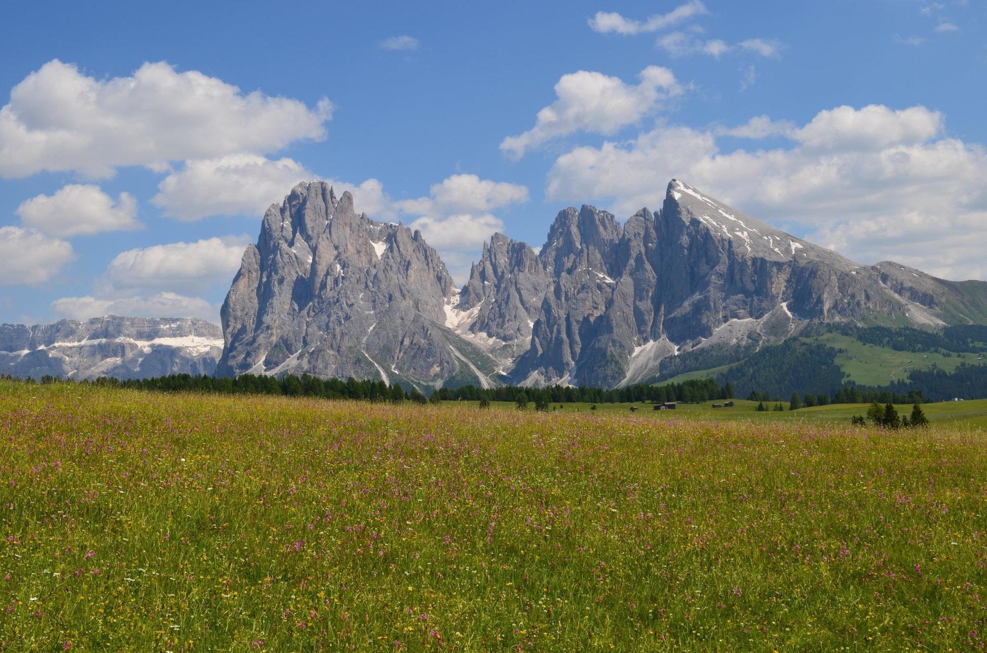 Como Alpina Dolomites Hotel Alpe Di Siusi Exterior photo